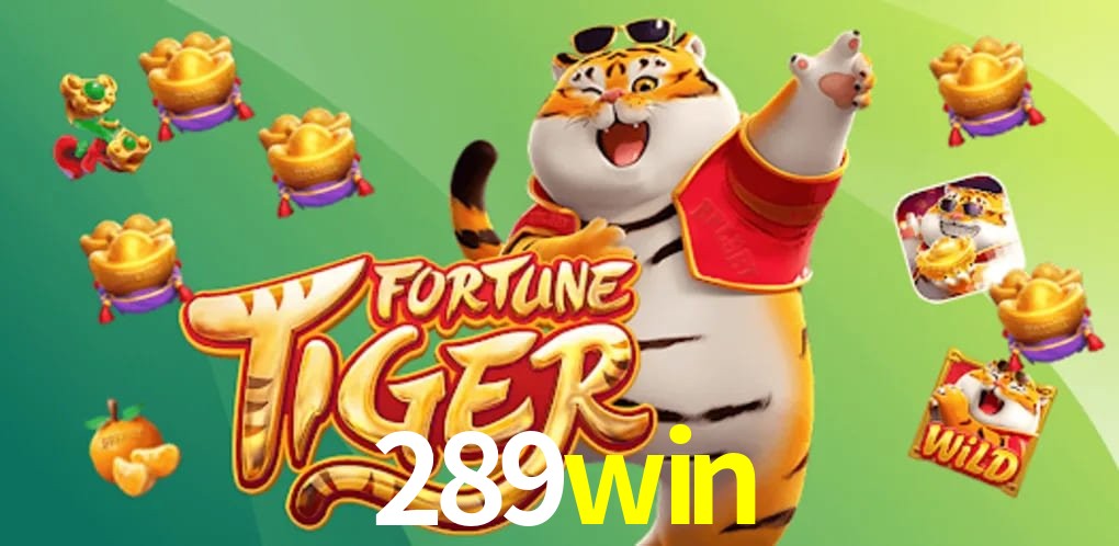 Game Providers 289win